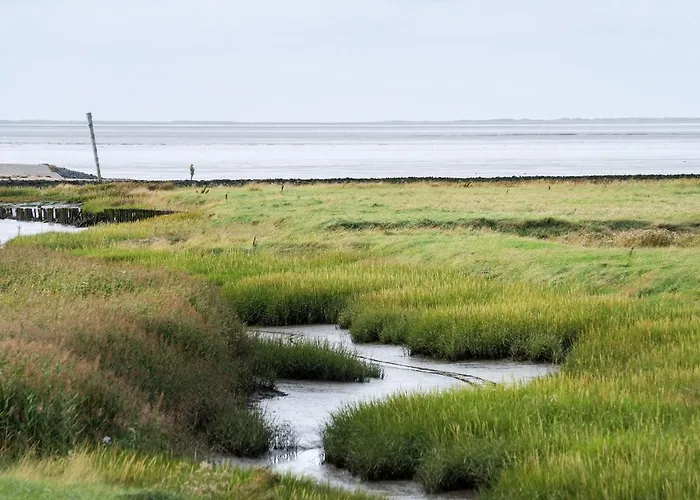 Tiny House Nature 1 Innenlage - Tiny Village Harlesiel